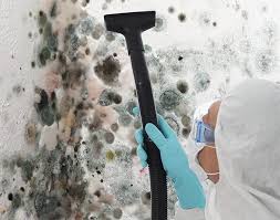 Mold Remediation for Vacation Homes in Roslyn Estates, NY